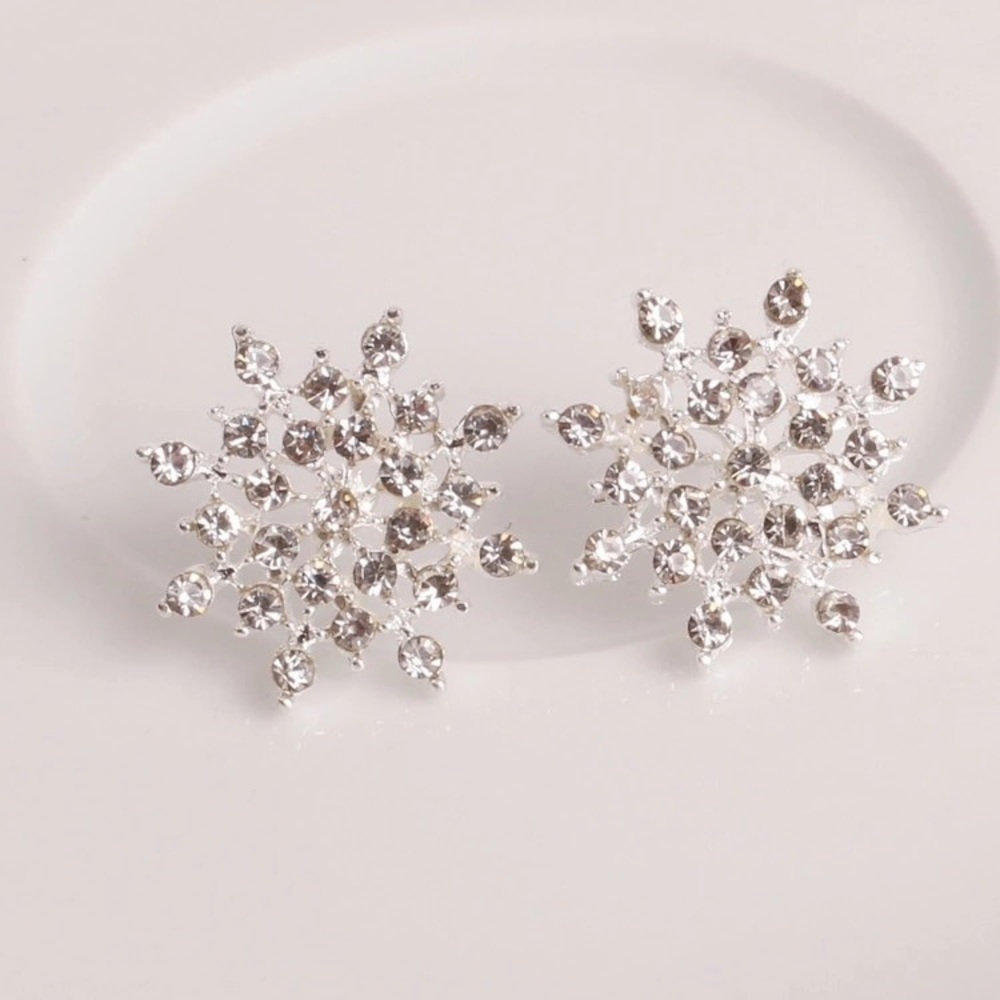 Brand new beautiful earrings